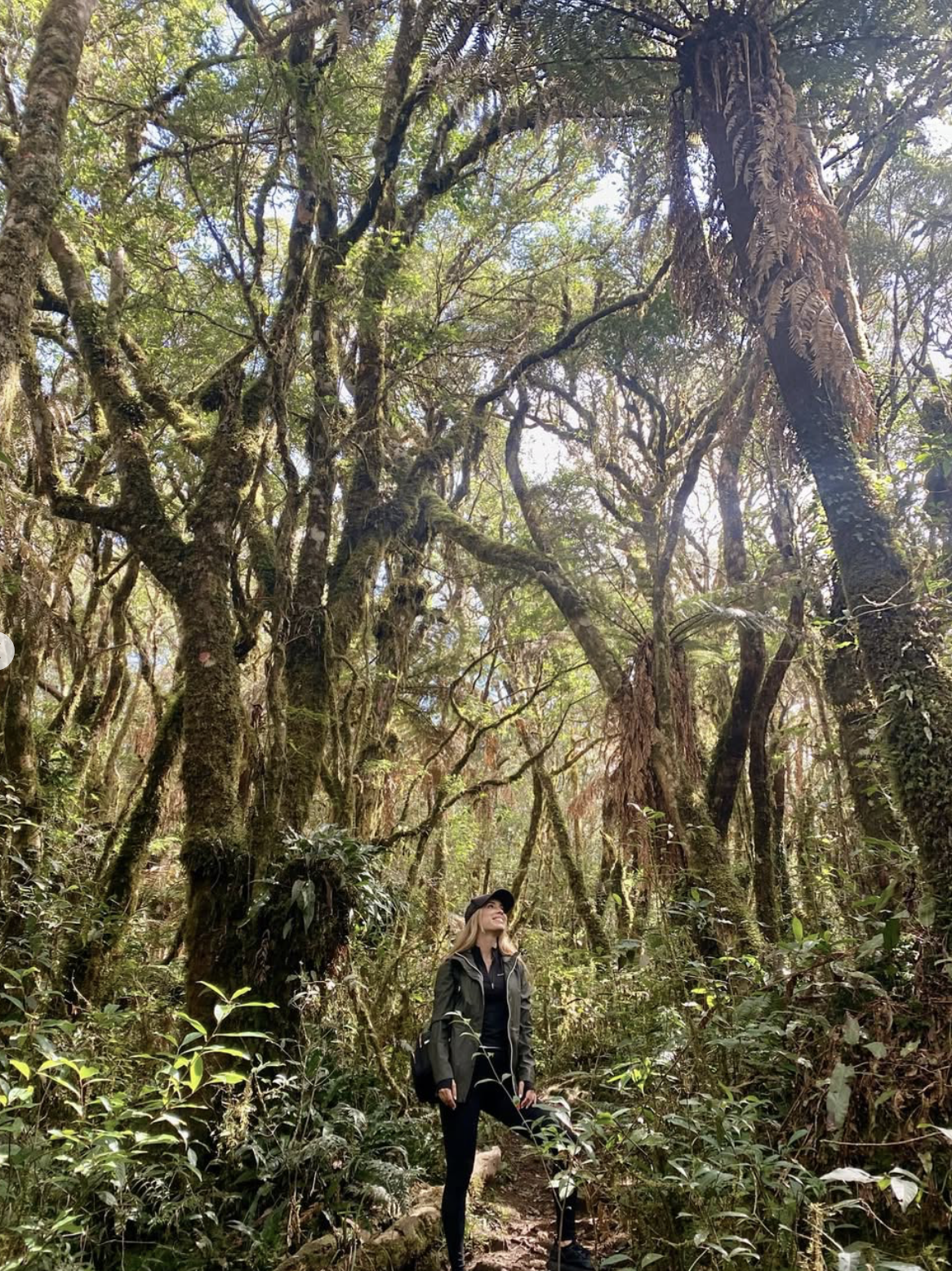 Ontdek het prehistorische landschap van Amboró National Park. De Jurassic Jungle Hike is een reis door tijd, natuur en tropische pracht | No Hay Vida Mejor